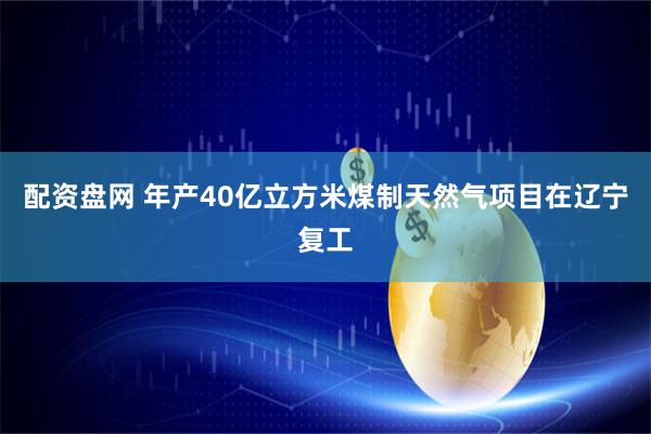 配资盘网 年产40亿立方米煤制天然气项目在辽宁复工