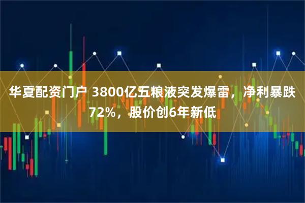 华夏配资门户 3800亿五粮液突发爆雷，净利暴跌72%，股价创6年新低