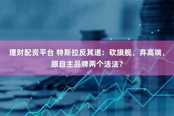 理财配资平台 特斯拉反其道：砍旗舰、弃高端，跟自主品牌两个活法？